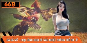 Đá Gà Mỹ - Loại Hình Chọi Kê Náo Nhiệt Không Thể Bỏ Lỡ