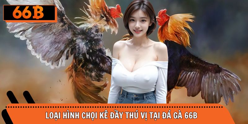 Những loại hình chọi kê đầy thú vị tại cổng cược uy tín
