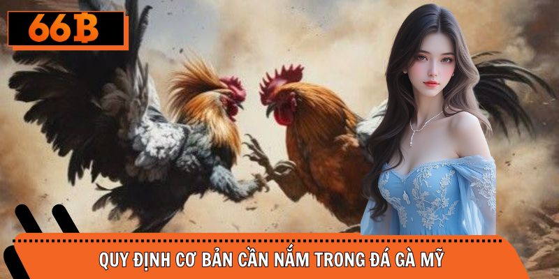 Quy tắc cơ bản chọi kê Mỹ dành cho bạn